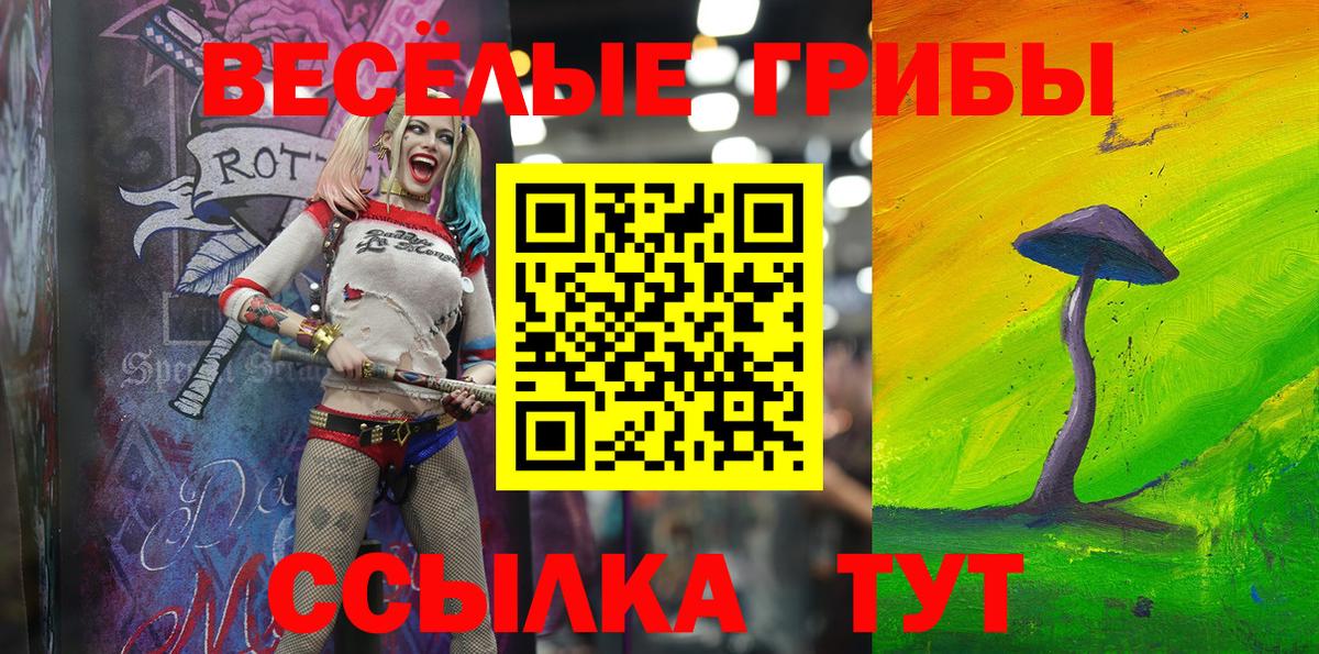 купить   Псилоцибиновые грибы GOLDEN TEACHER  Вход с VPN  Щёлково 