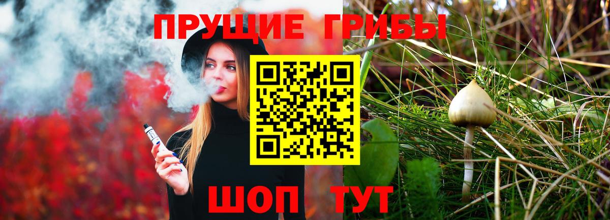 Галлюциногенные грибы Cubensis Щёлково